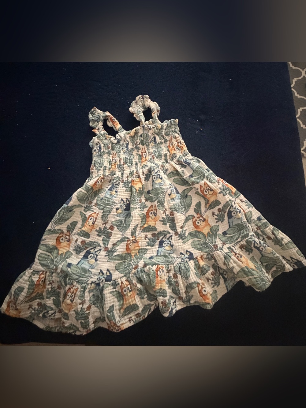 Bluey dress